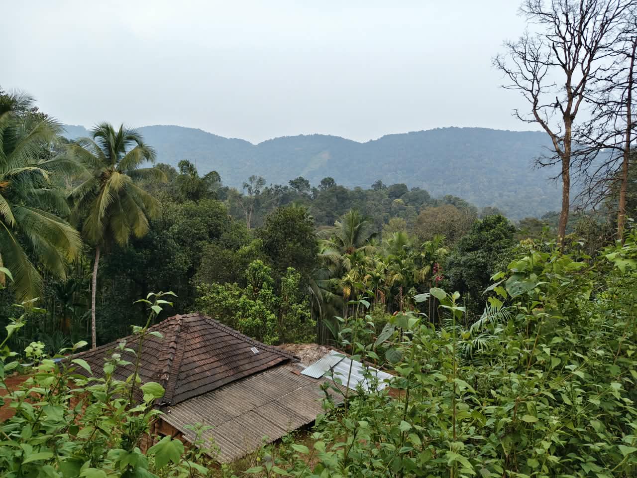 Panoramic scenic view of the Ethno Cultural Camp site nestled against mist-covered hills in Uttara Kannada